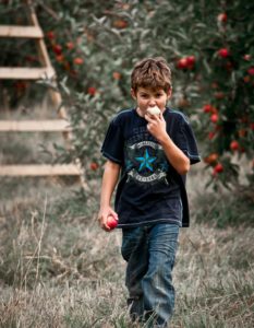 Small boy eating an apple while walking around outside.